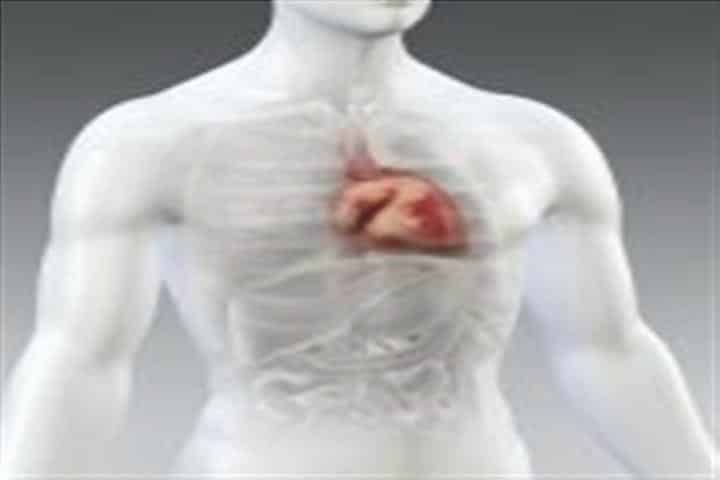 O papel do Óleo de Coco na doença cardiovascular